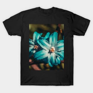 Glory of the Snow Flower, Macro Photograph T-Shirt